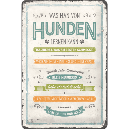 Nostalgic-Art Tin Sign 20x30 Cm Was Man Von Hunden Lernen Kan